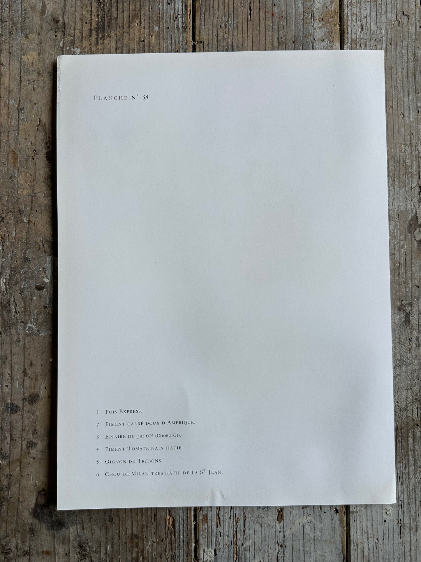 Planche légumes