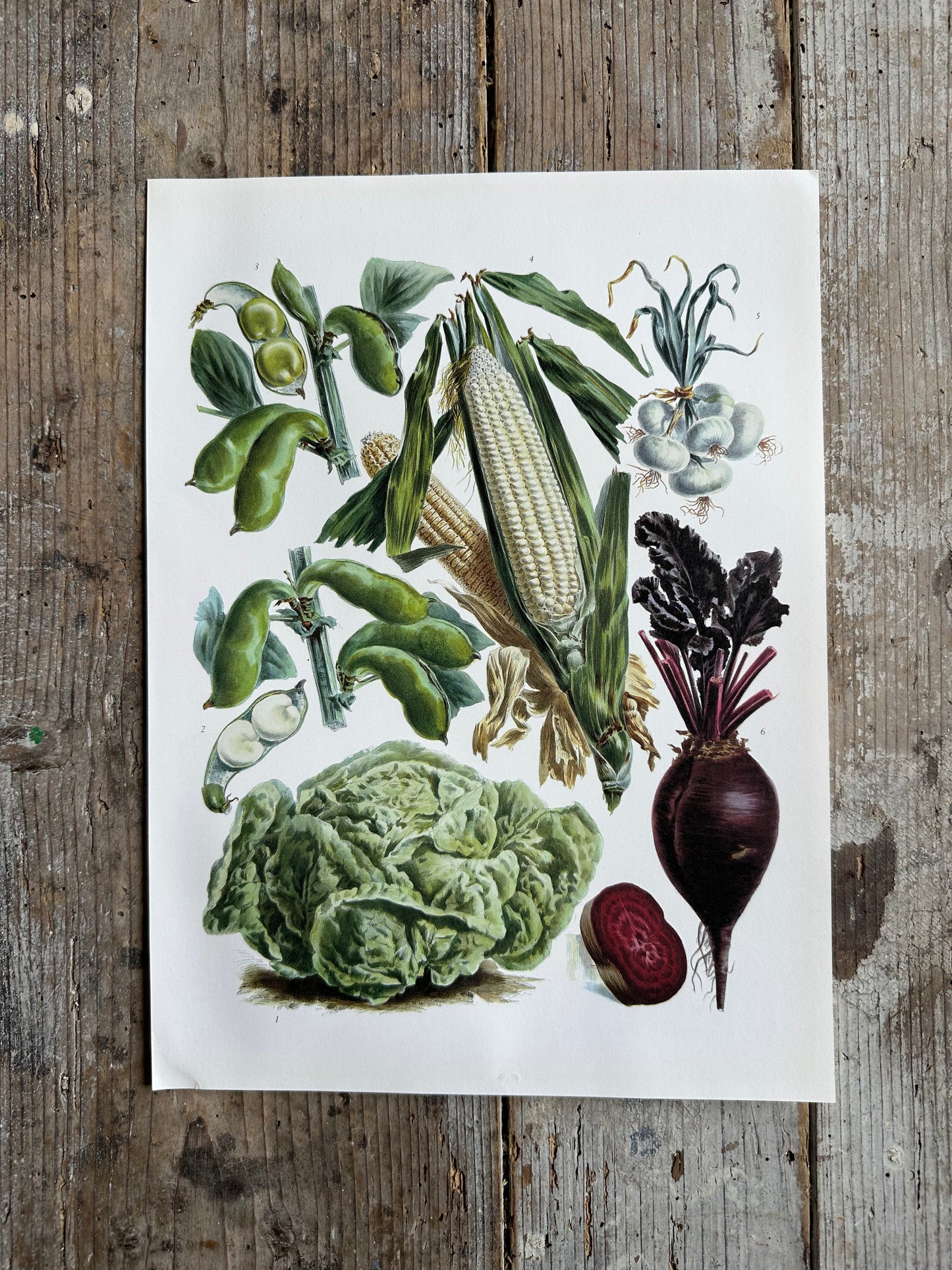 Planche légumes