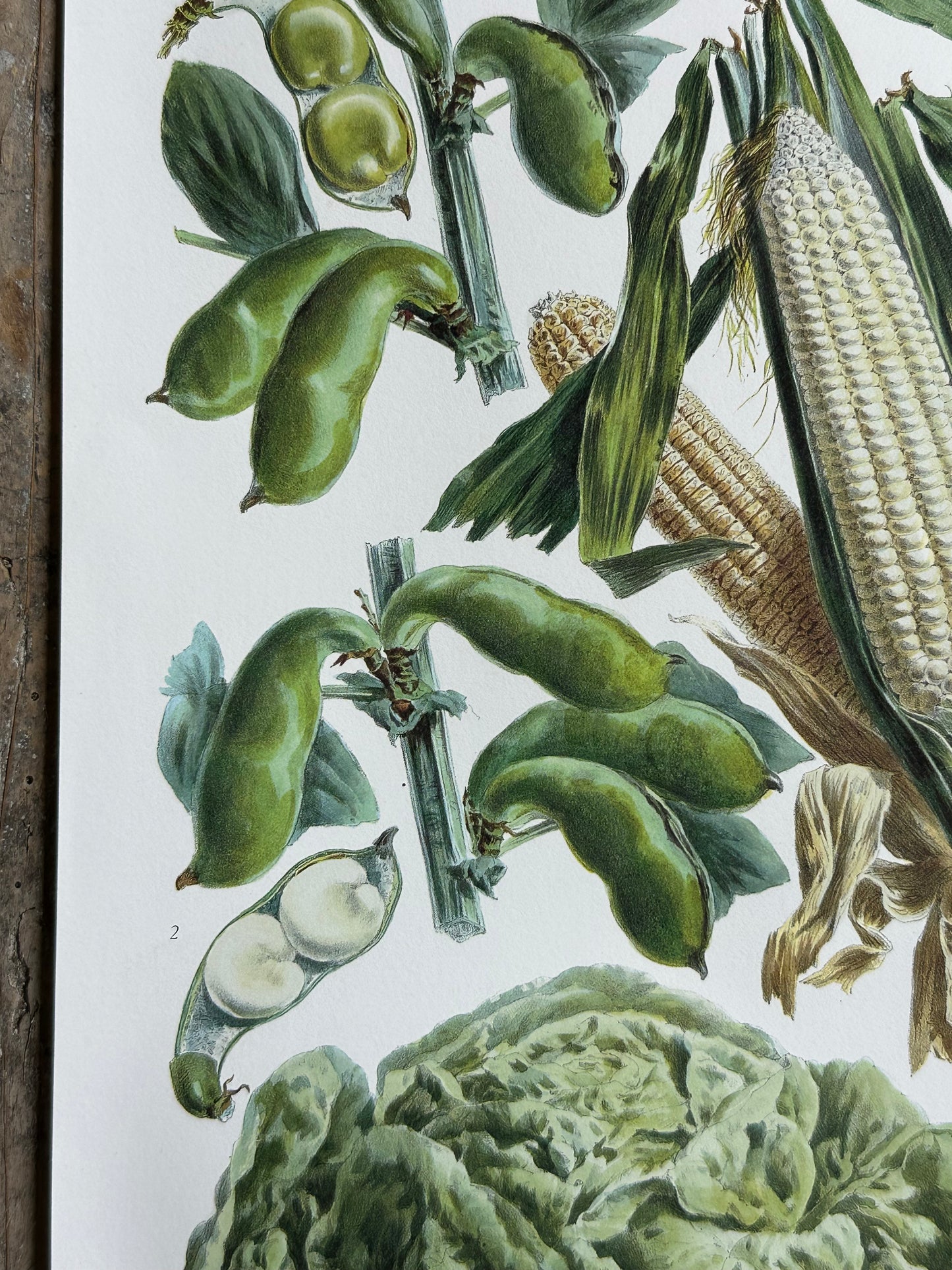 Planche légumes