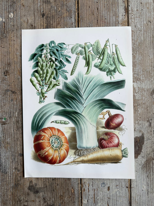Planche légumes