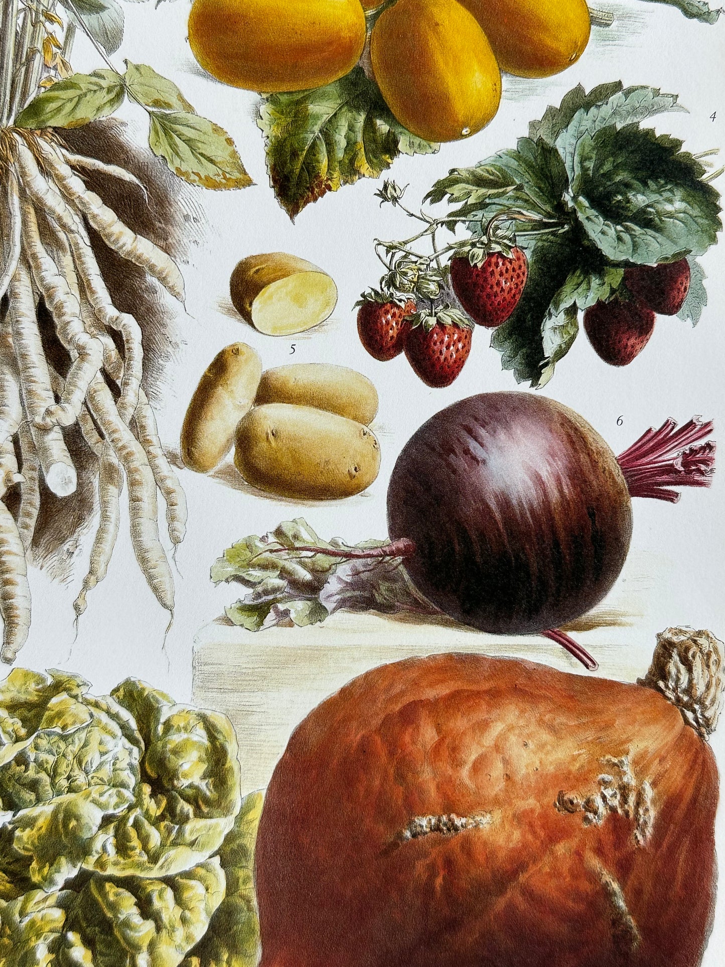 Planche légumes