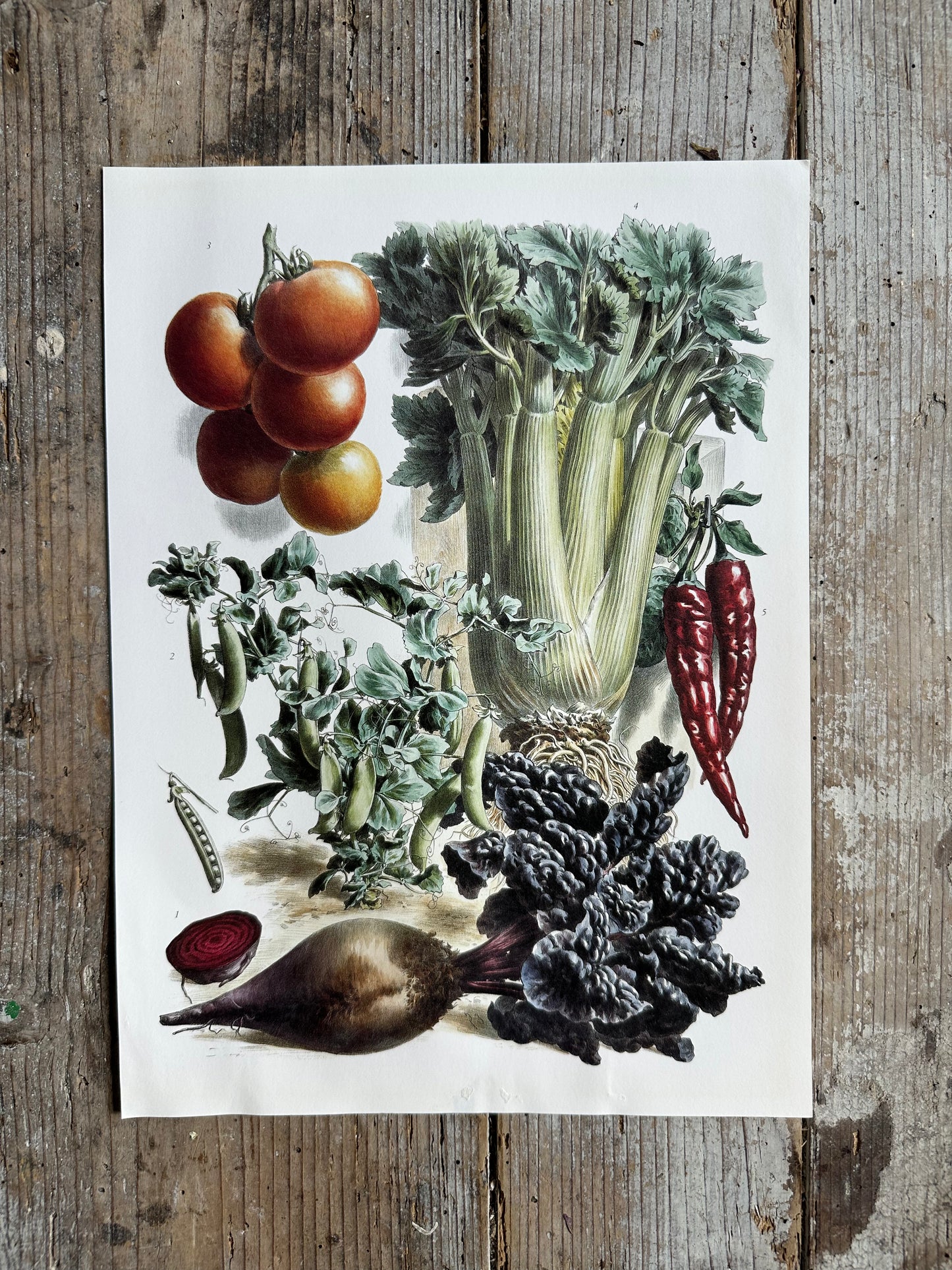 Planche légumes