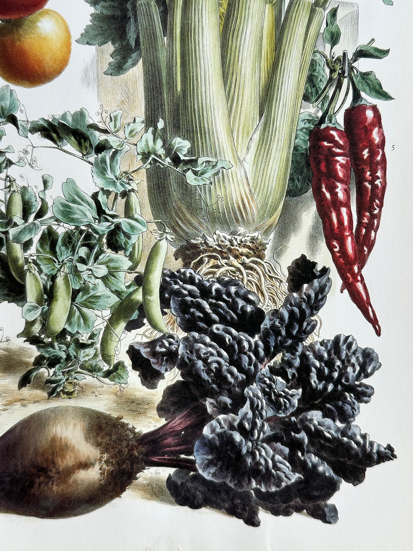 Planche légumes