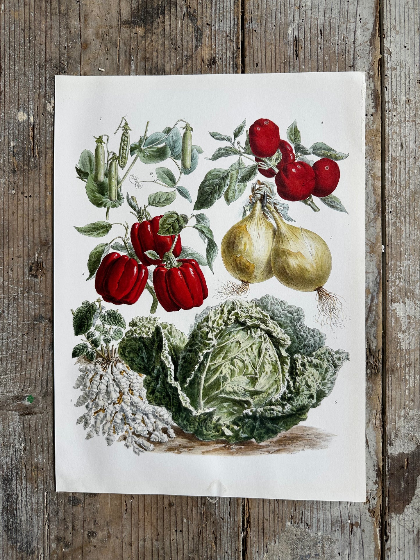 Planche légumes