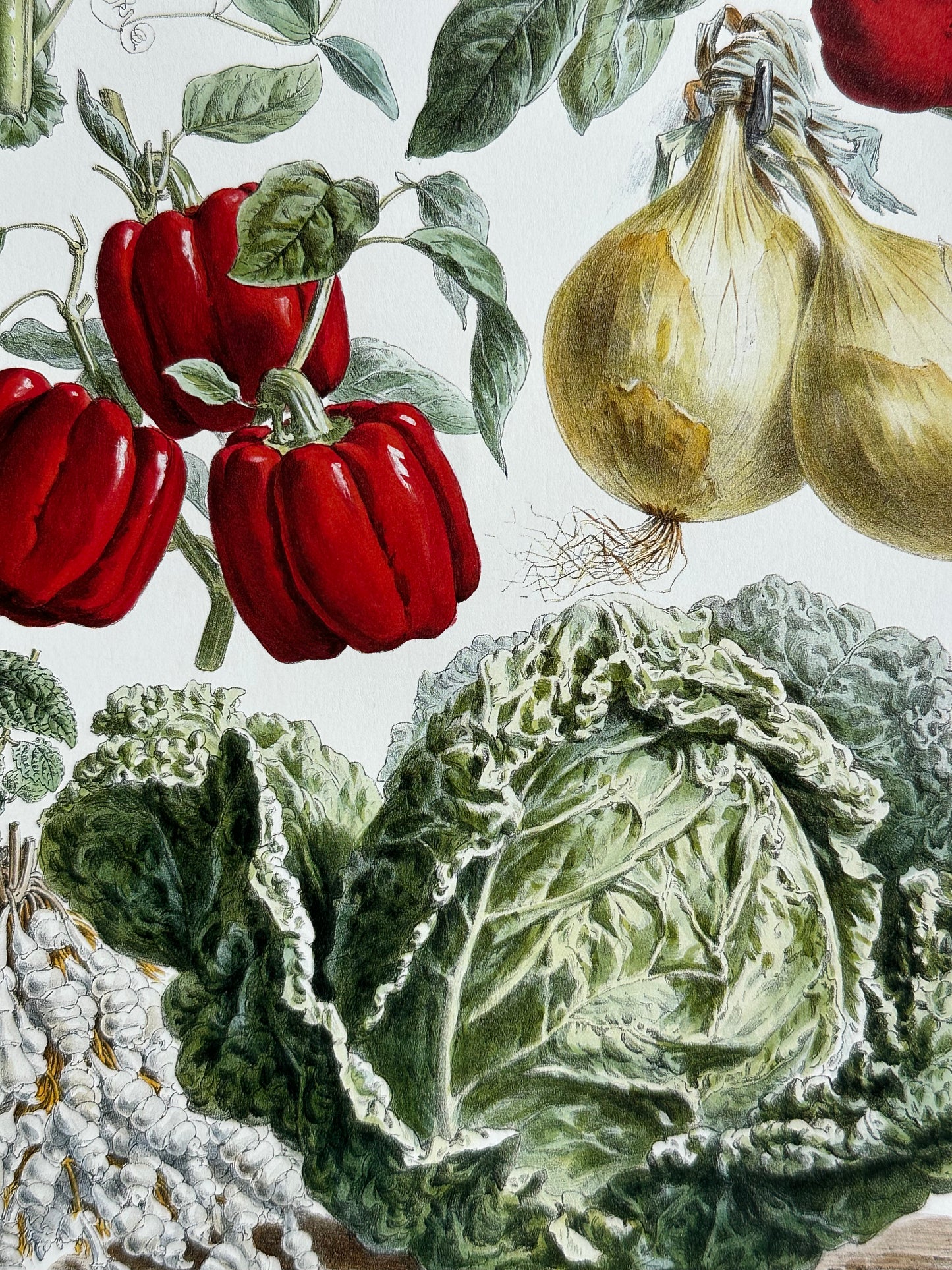 Planche légumes