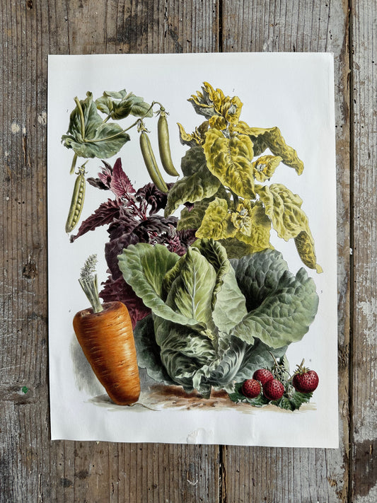 Planche légumes