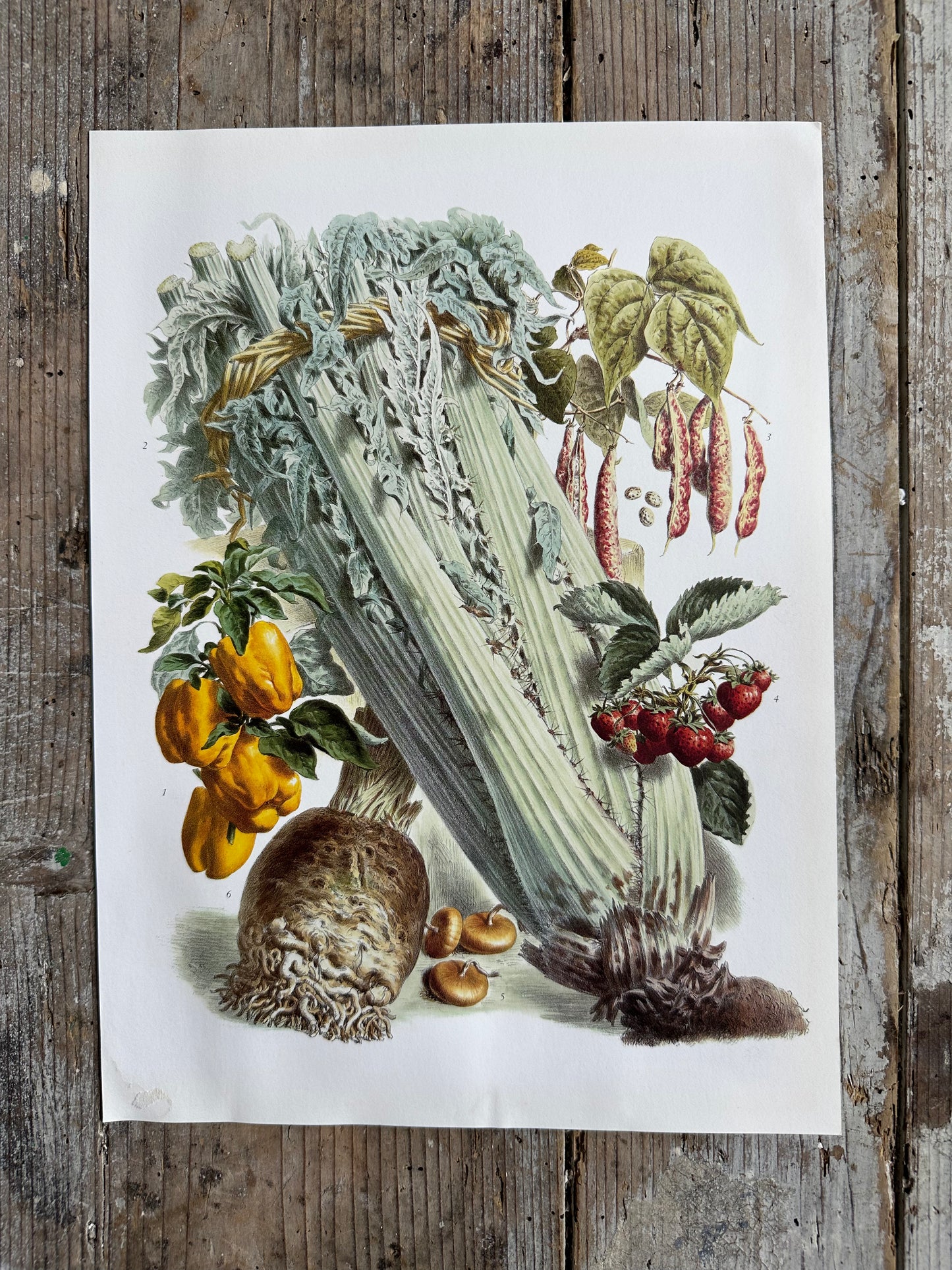 Planche légumes