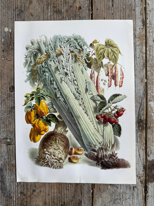 Planche légumes