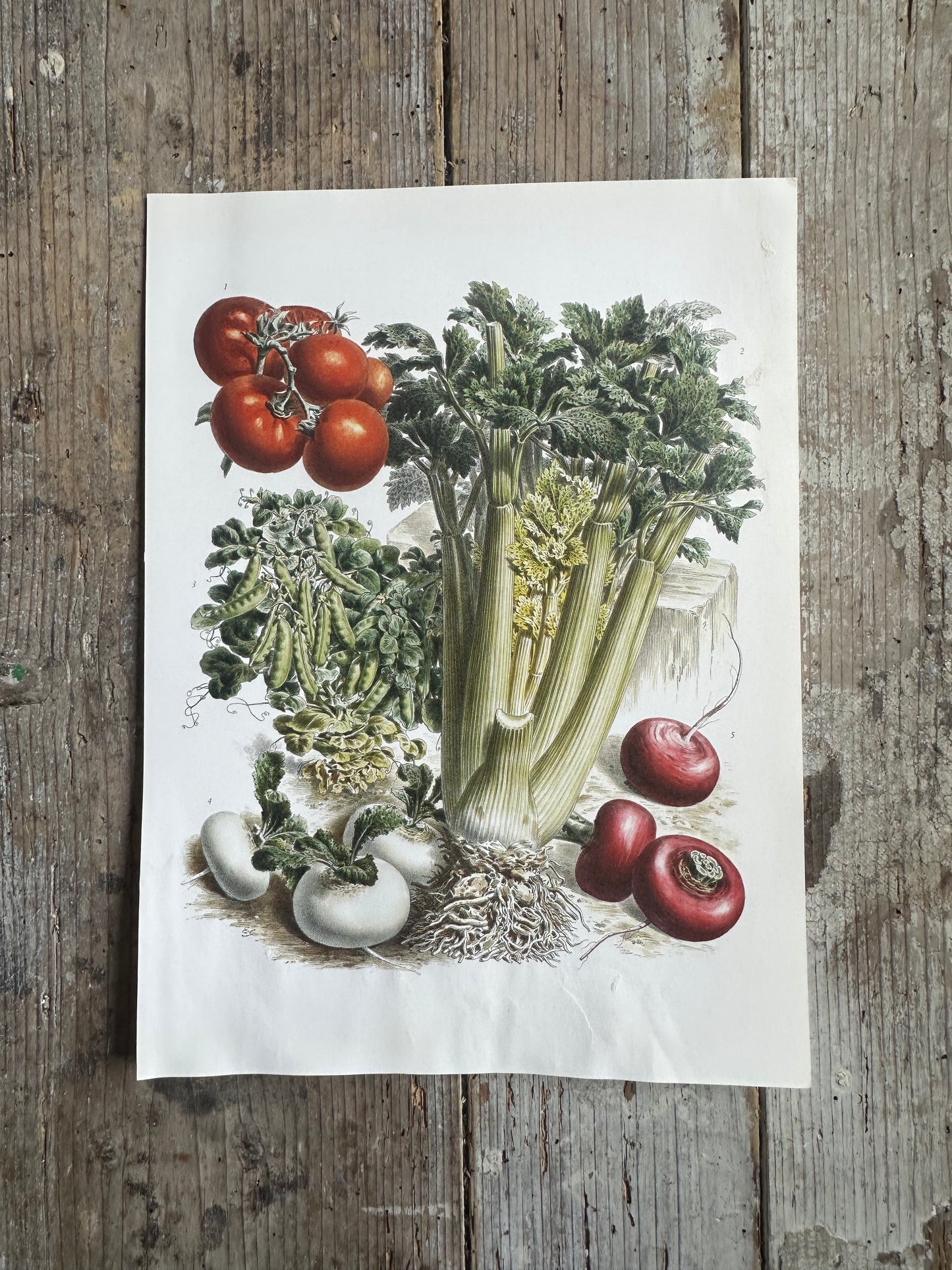Planche légumes