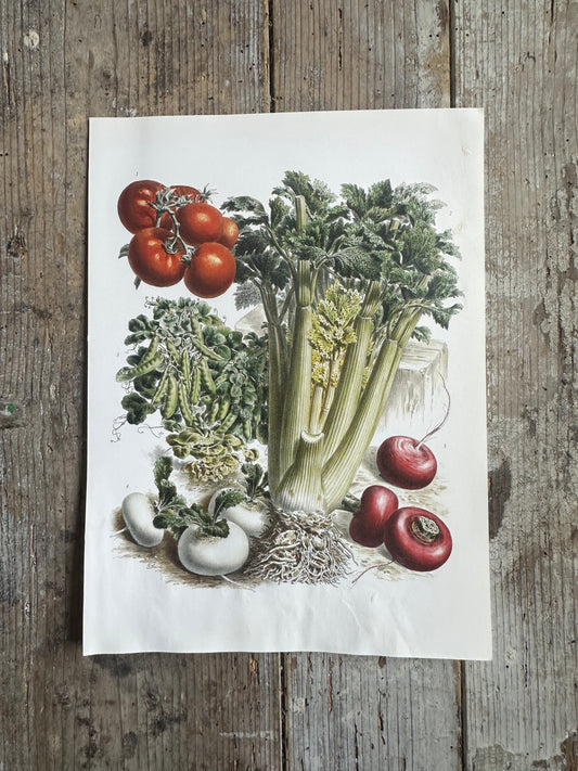 Planche légumes