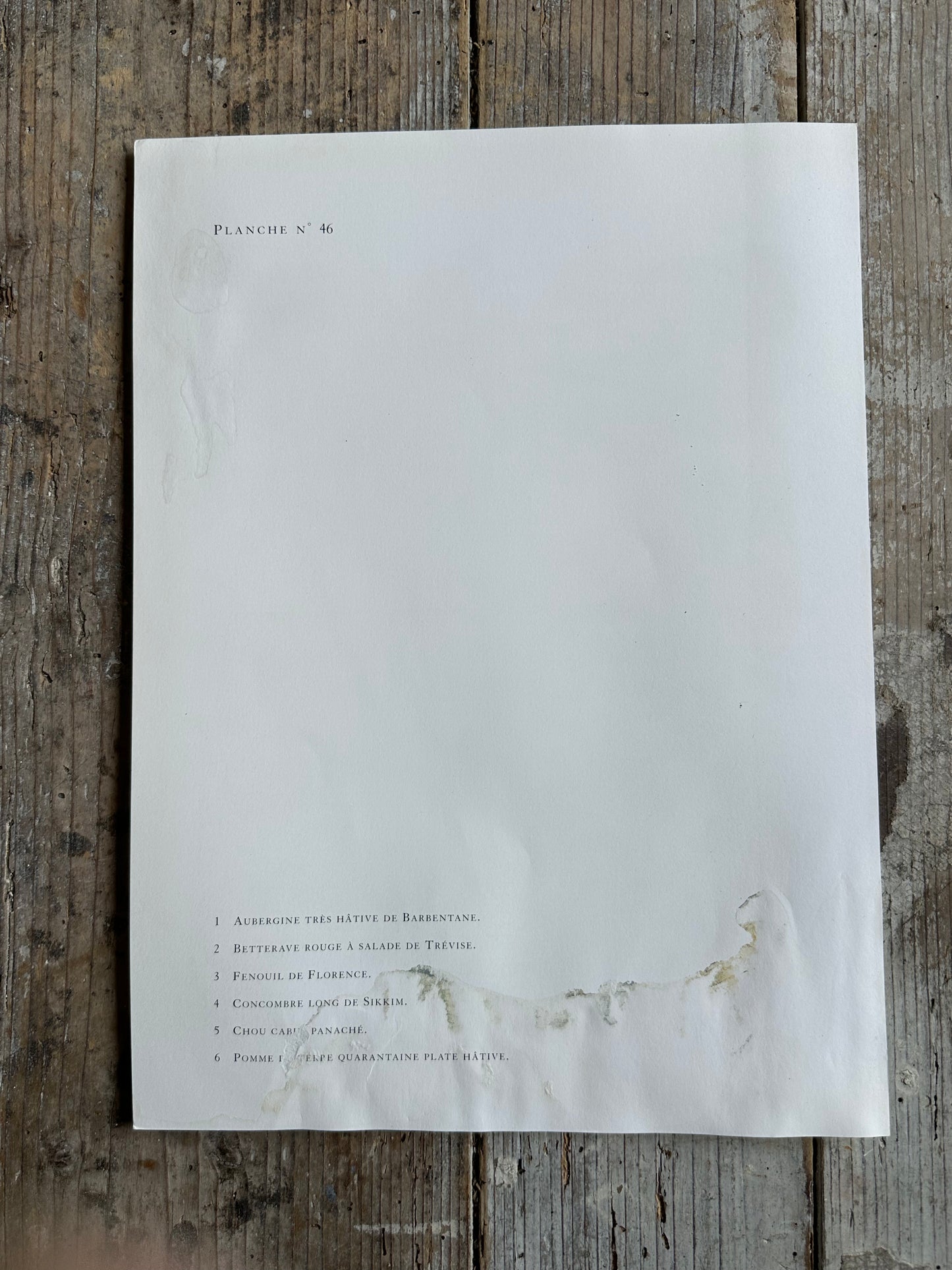 Planche légumes
