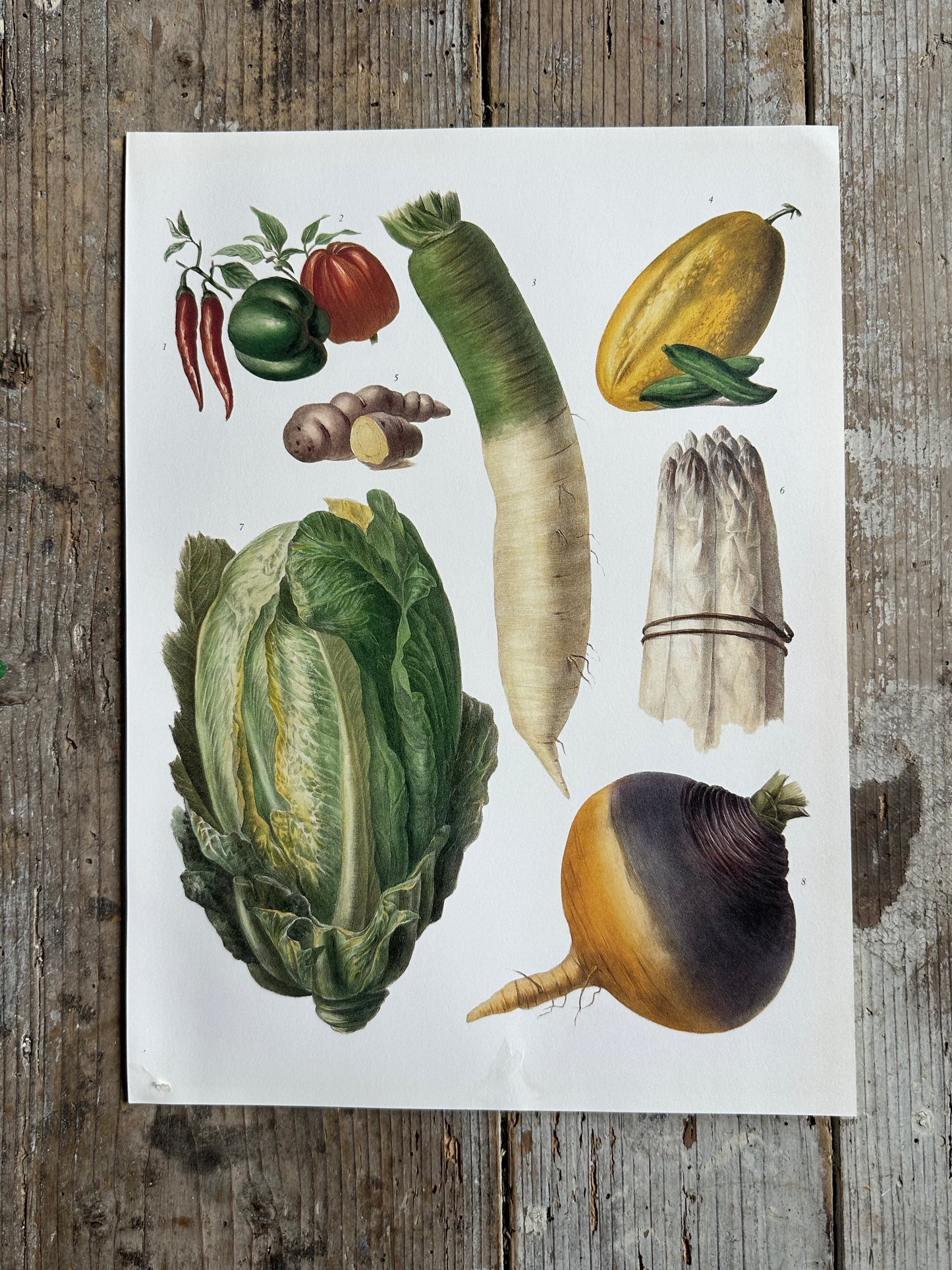 Planche légumes