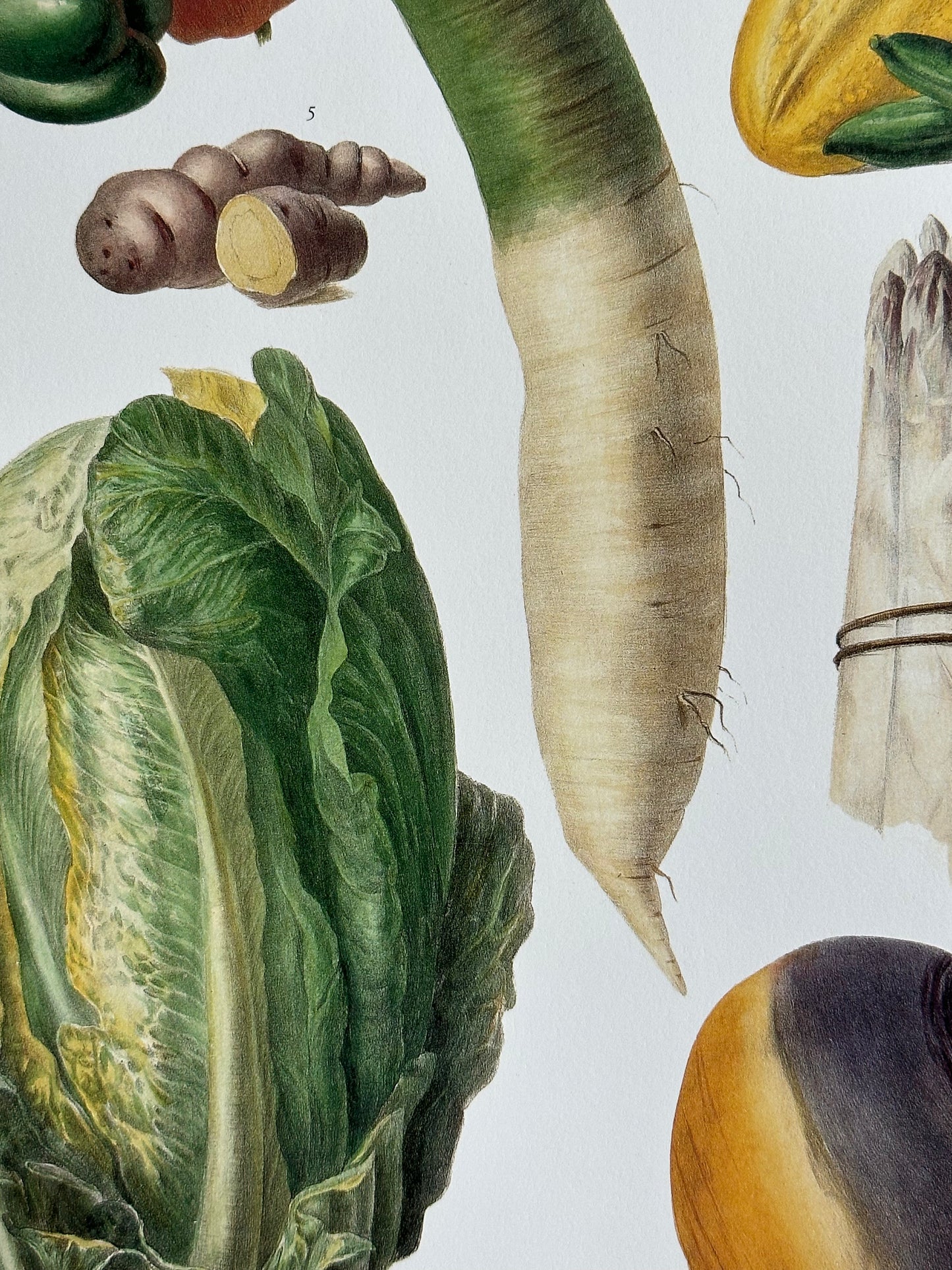 Planche légumes