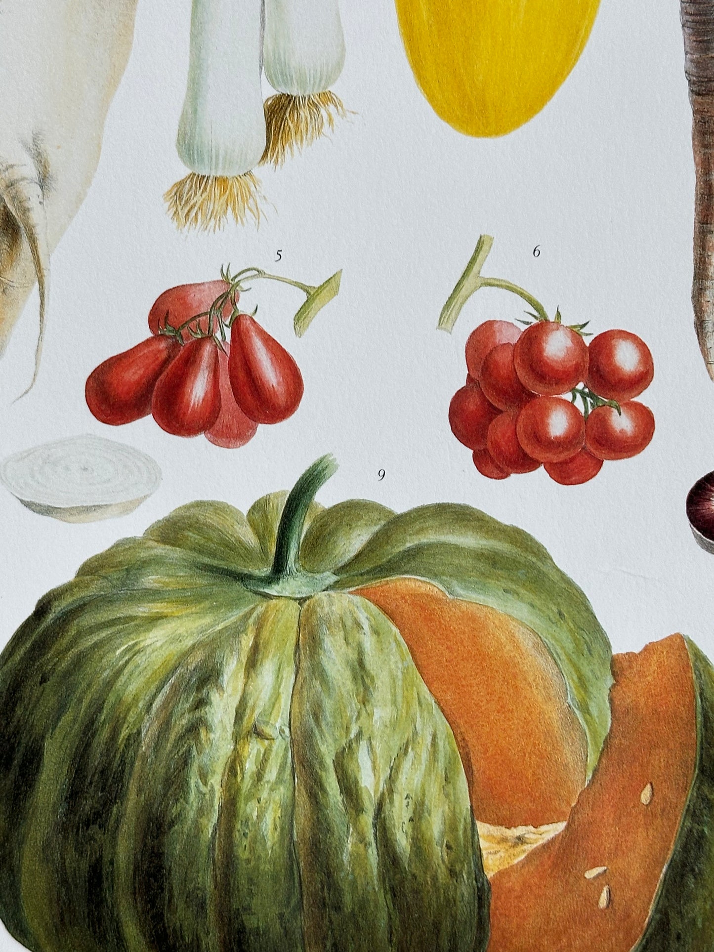Planche légumes