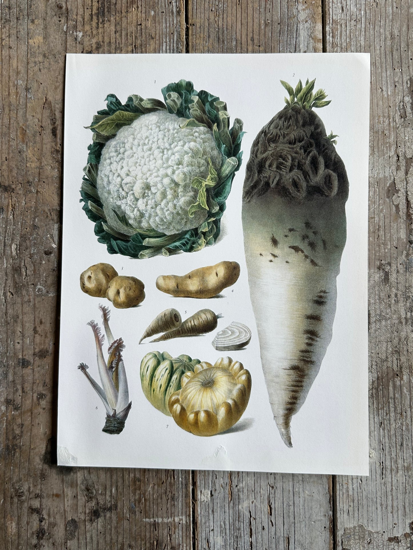 Planche légumes