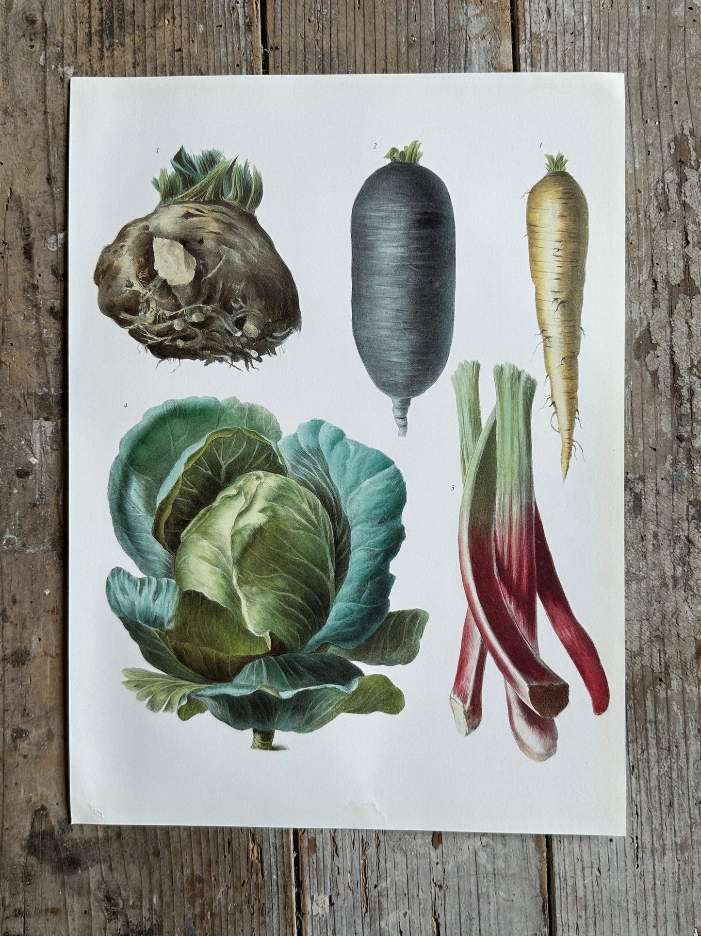 Planche légumes