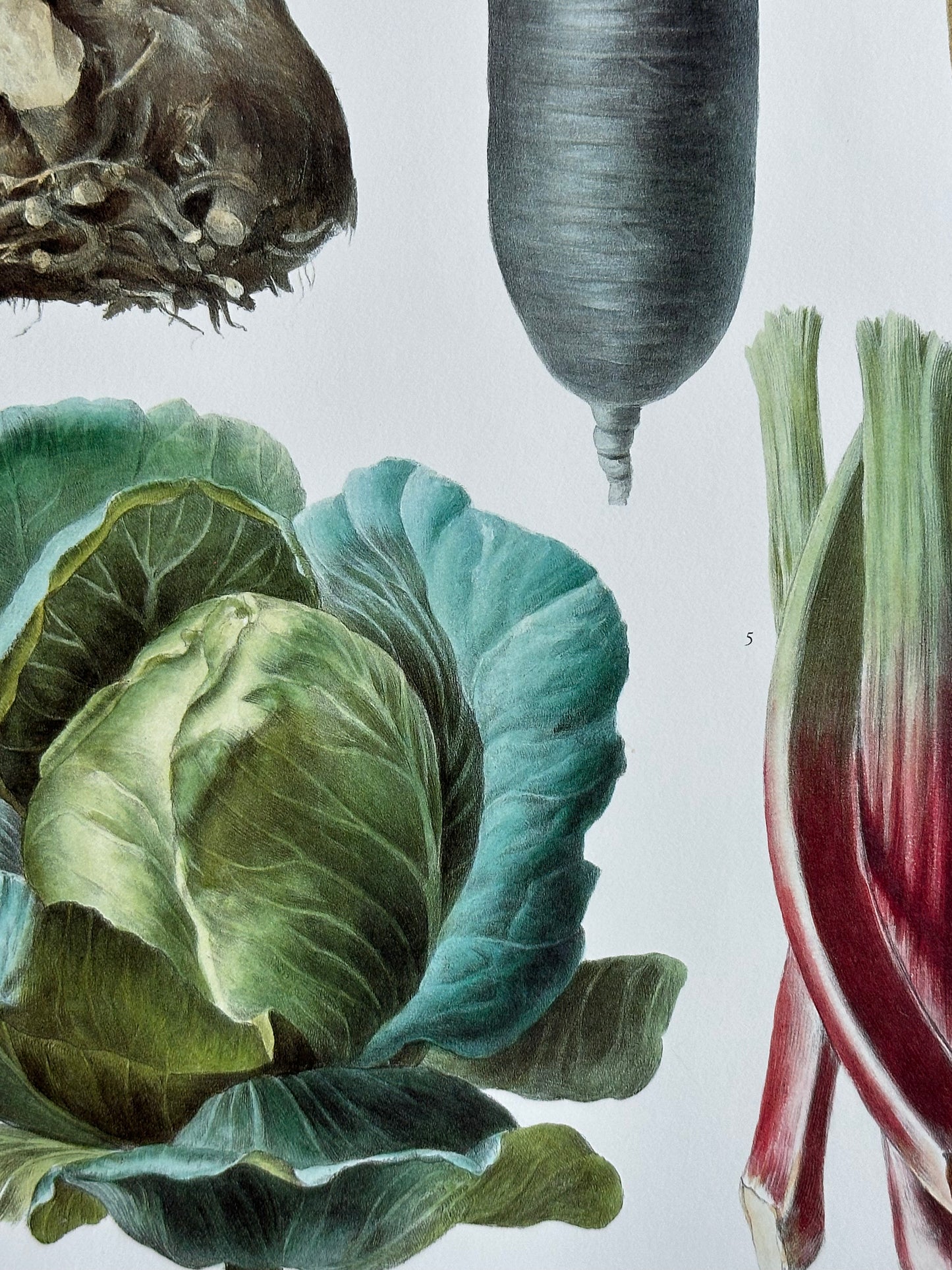 Planche légumes