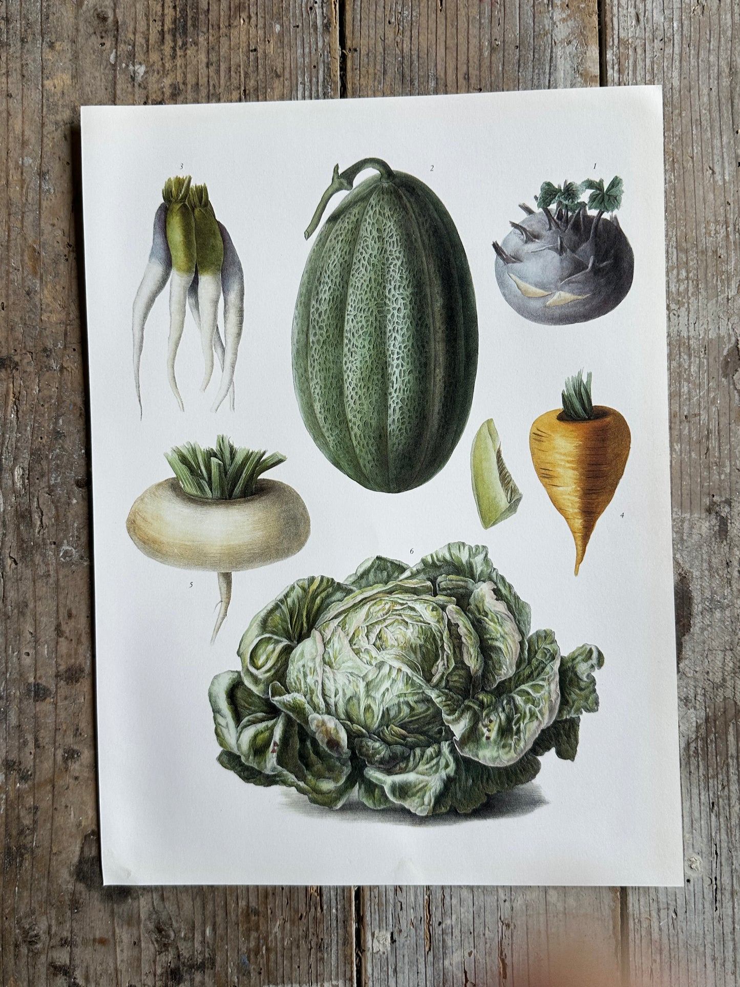 Planche légumes