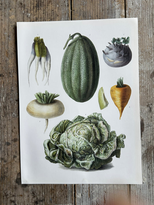 Planche légumes