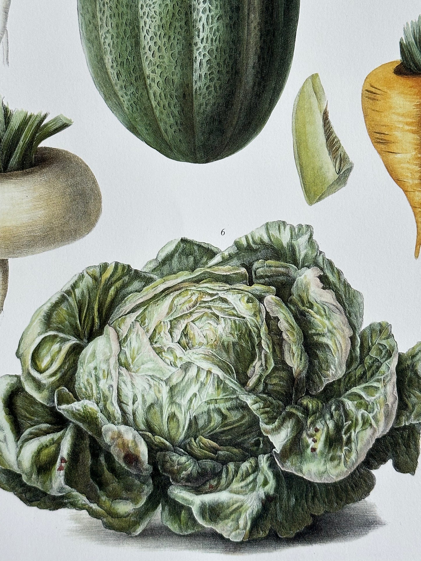 Planche légumes
