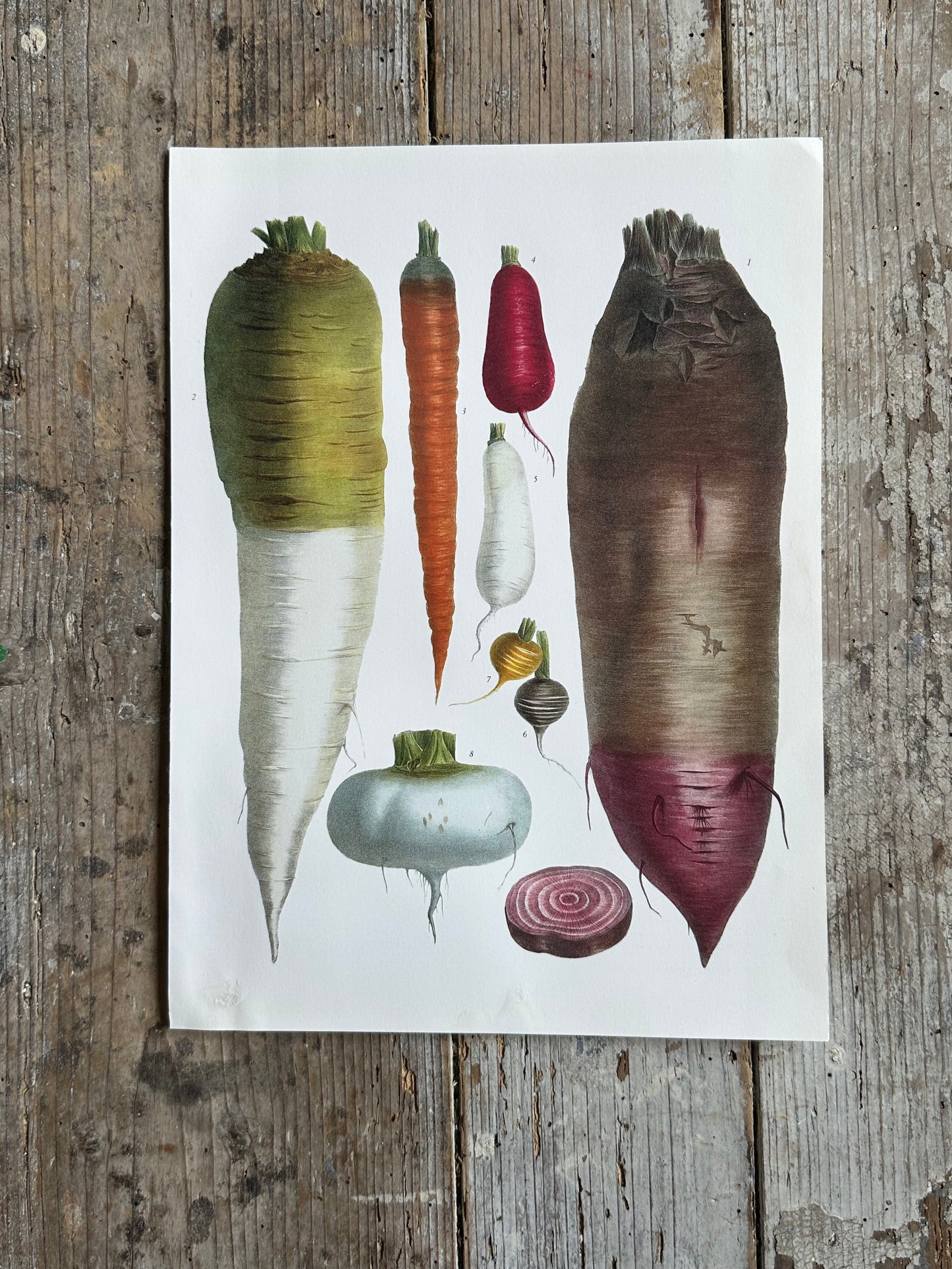 Planche légumes