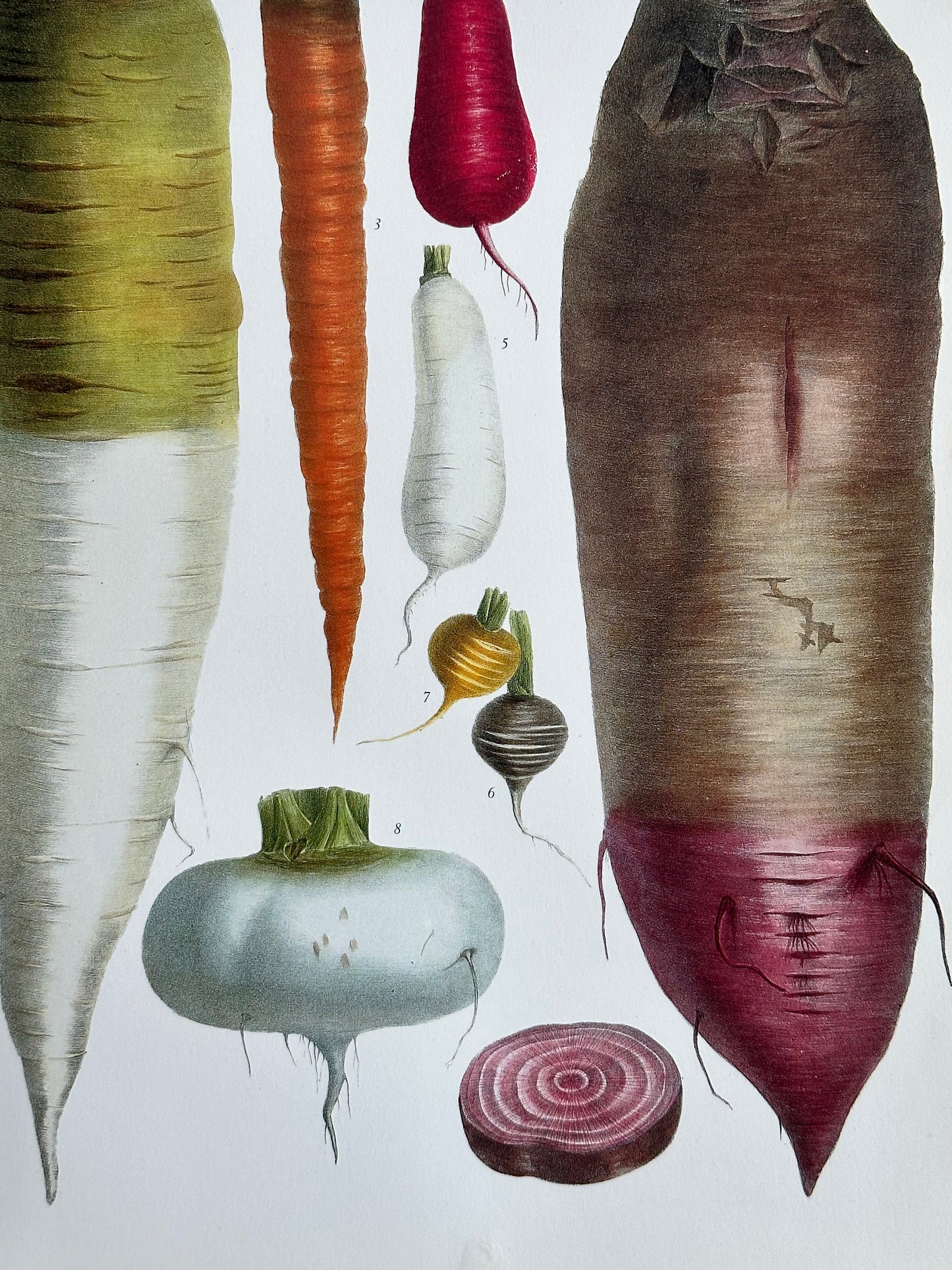 Planche légumes