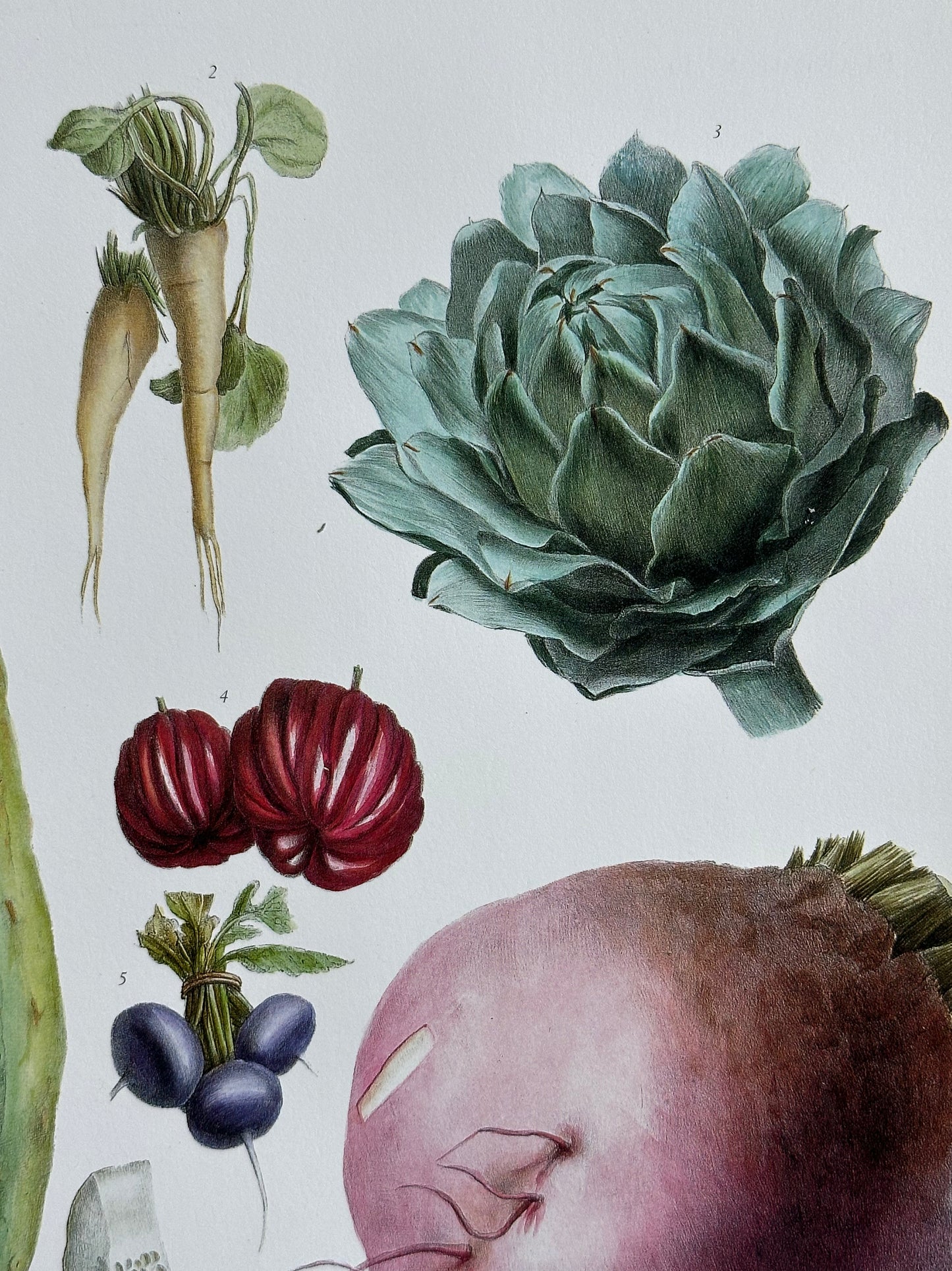 Planche légumes