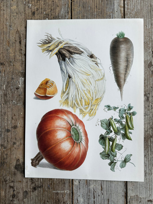 Planche légumes