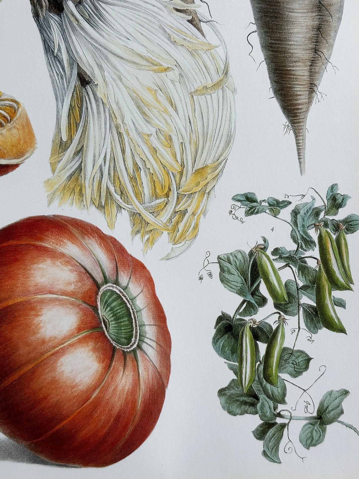 Planche légumes