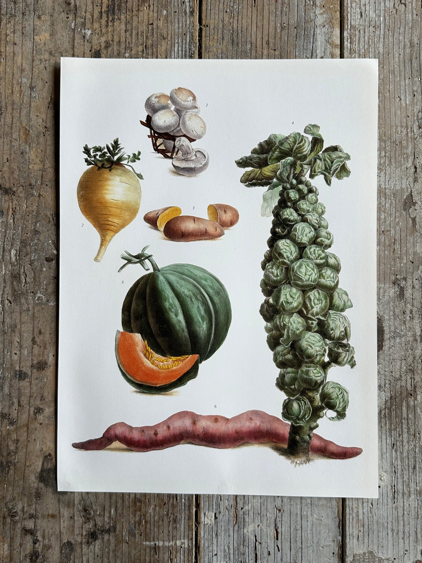 Planche légume
