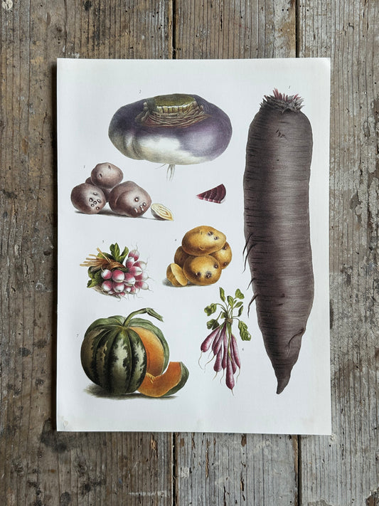 Planche légumes