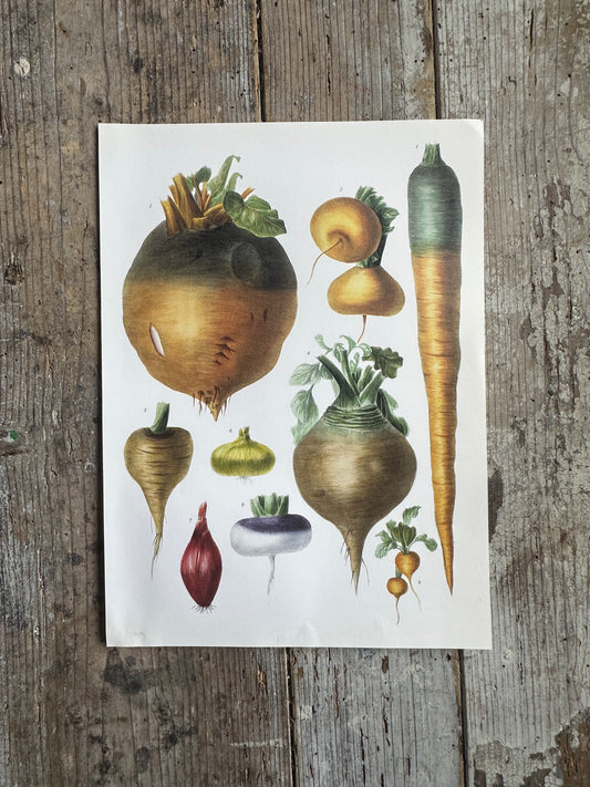 Planche légumes
