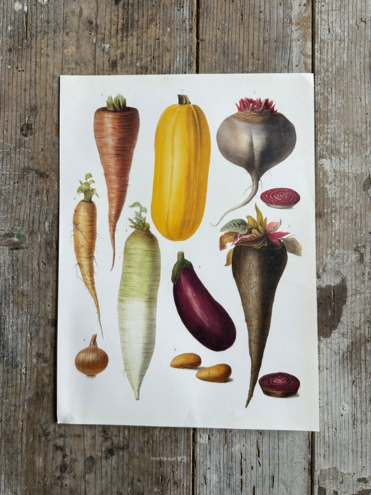 Planche légumes