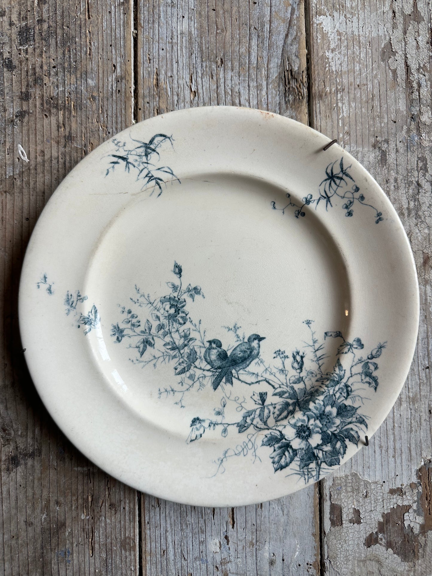 Assiette aux oiseaux