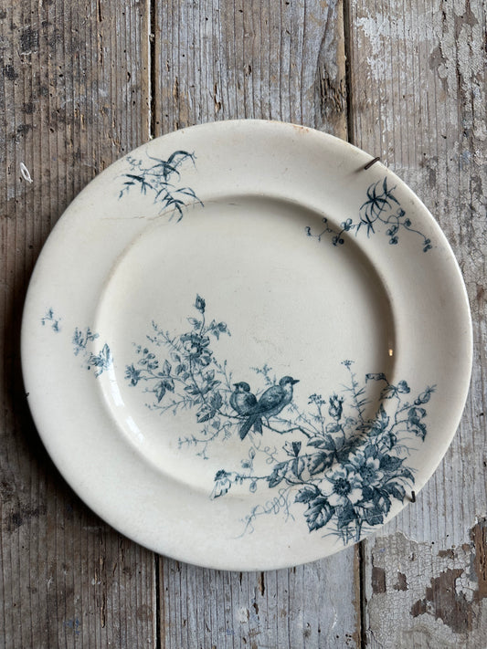 Assiette aux oiseaux