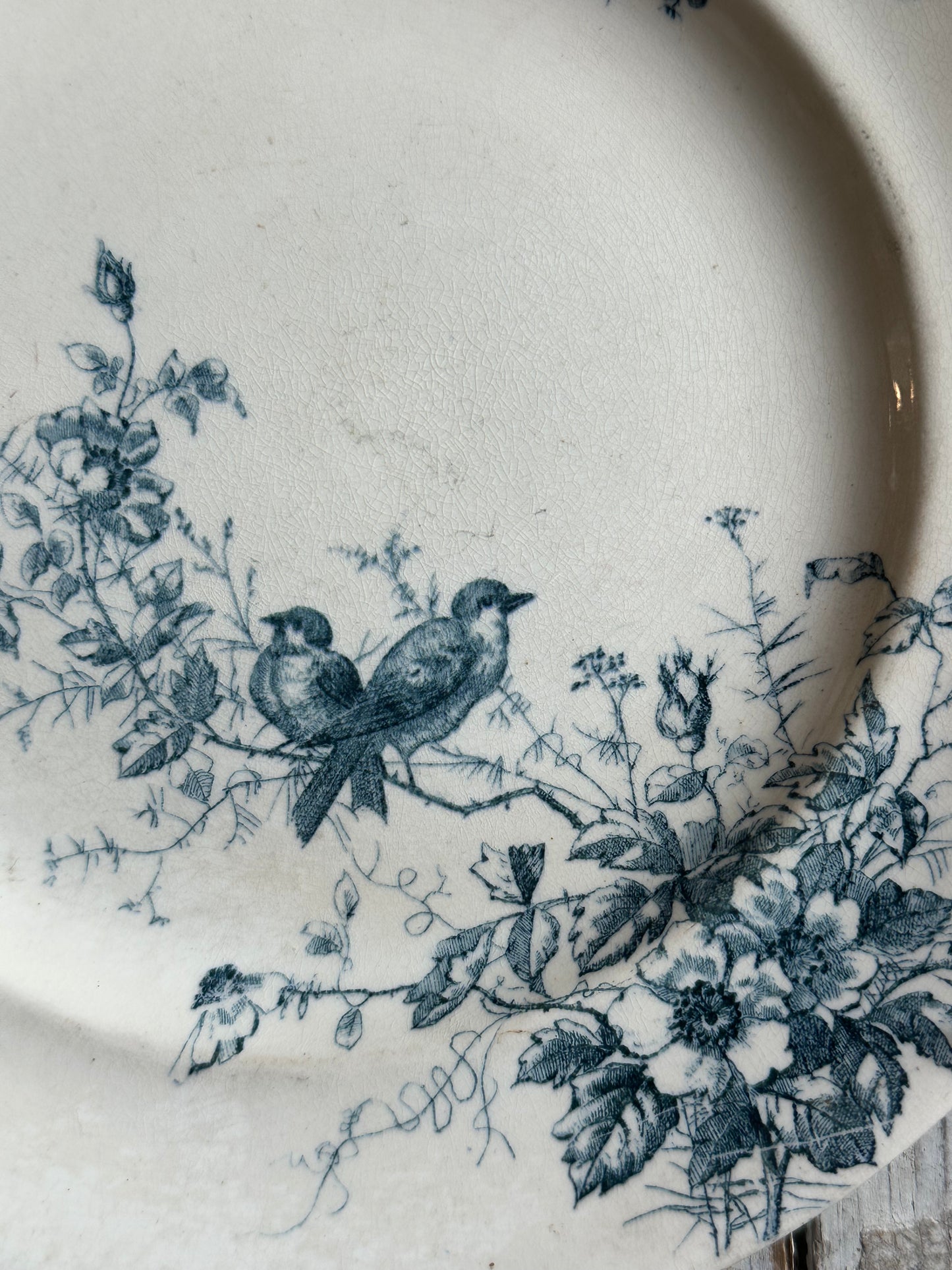 Assiette aux oiseaux