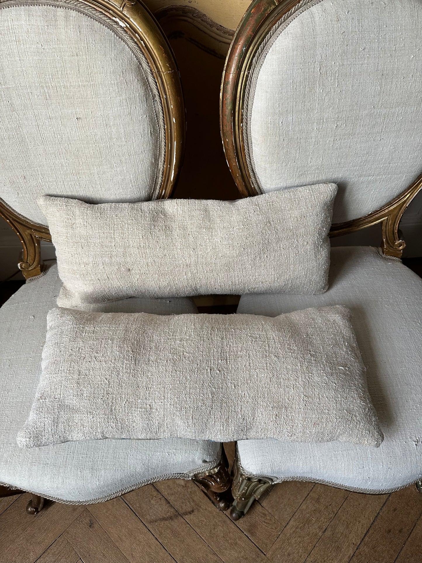Paire de coussins