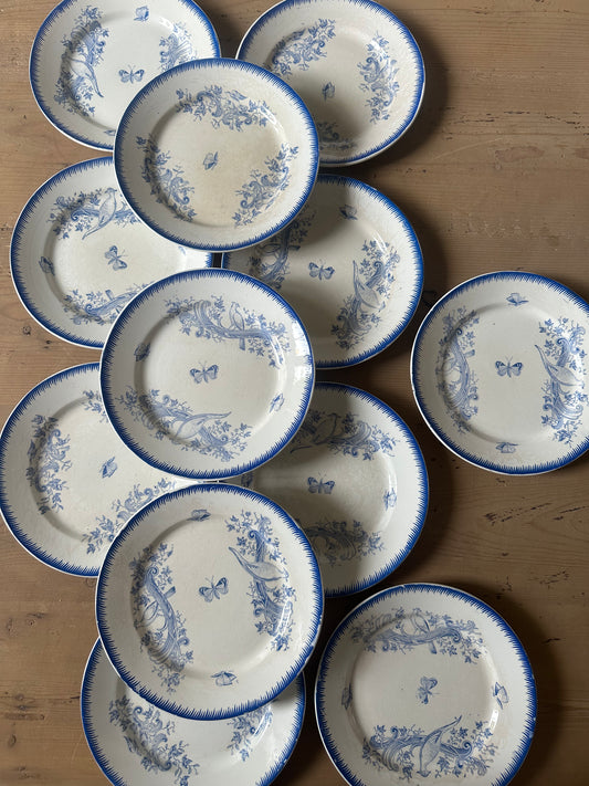 Assiettes aux papillons
