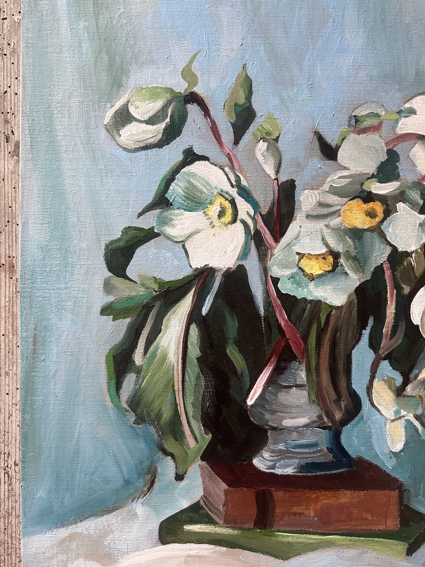 Hellebores