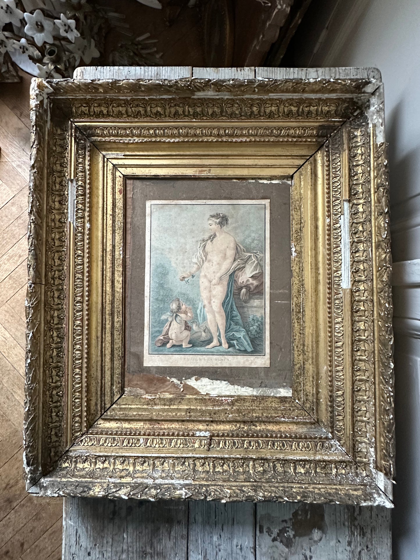 Venus