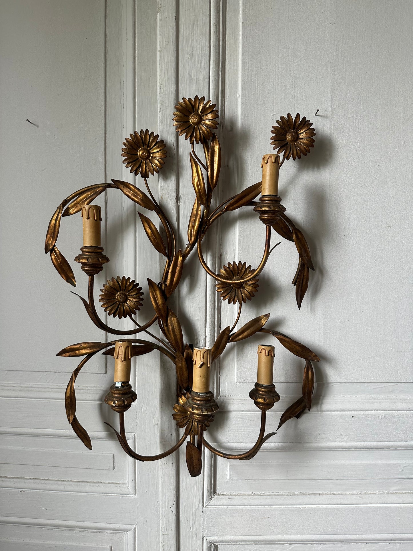 Marguerites d’or