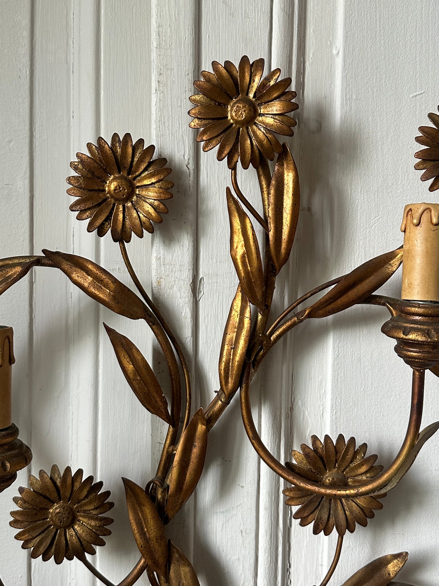 Marguerites d’or