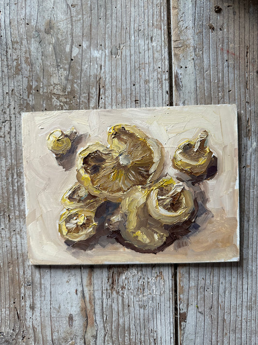Les champignons