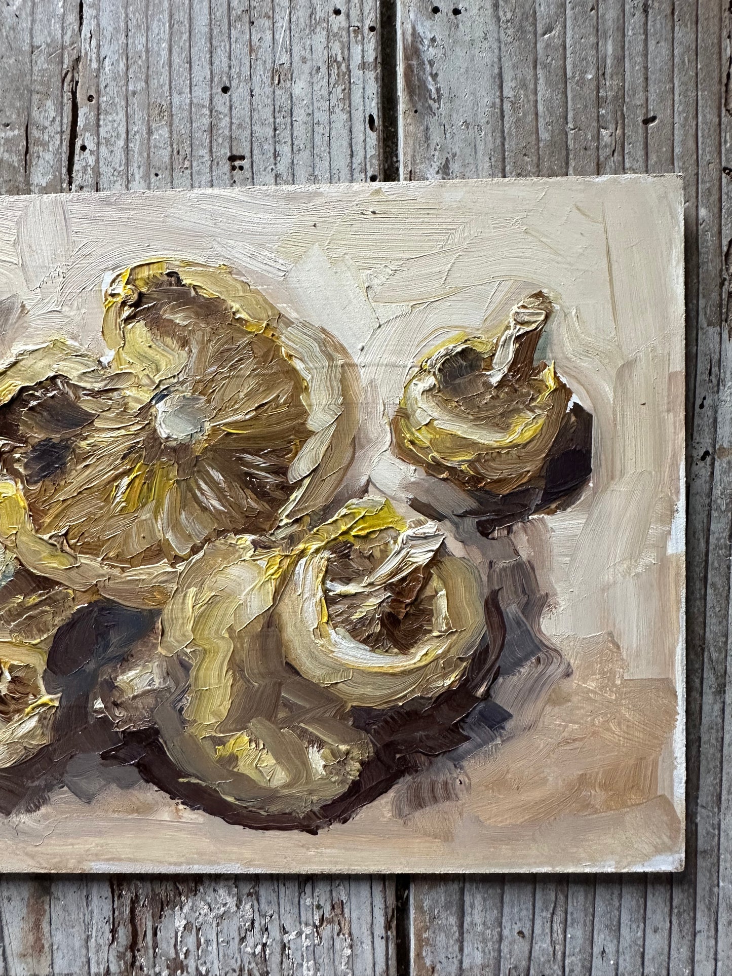 Les champignons