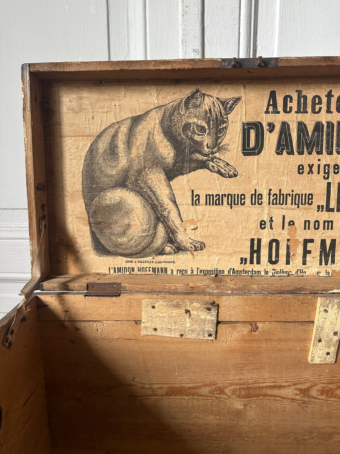 Le chat