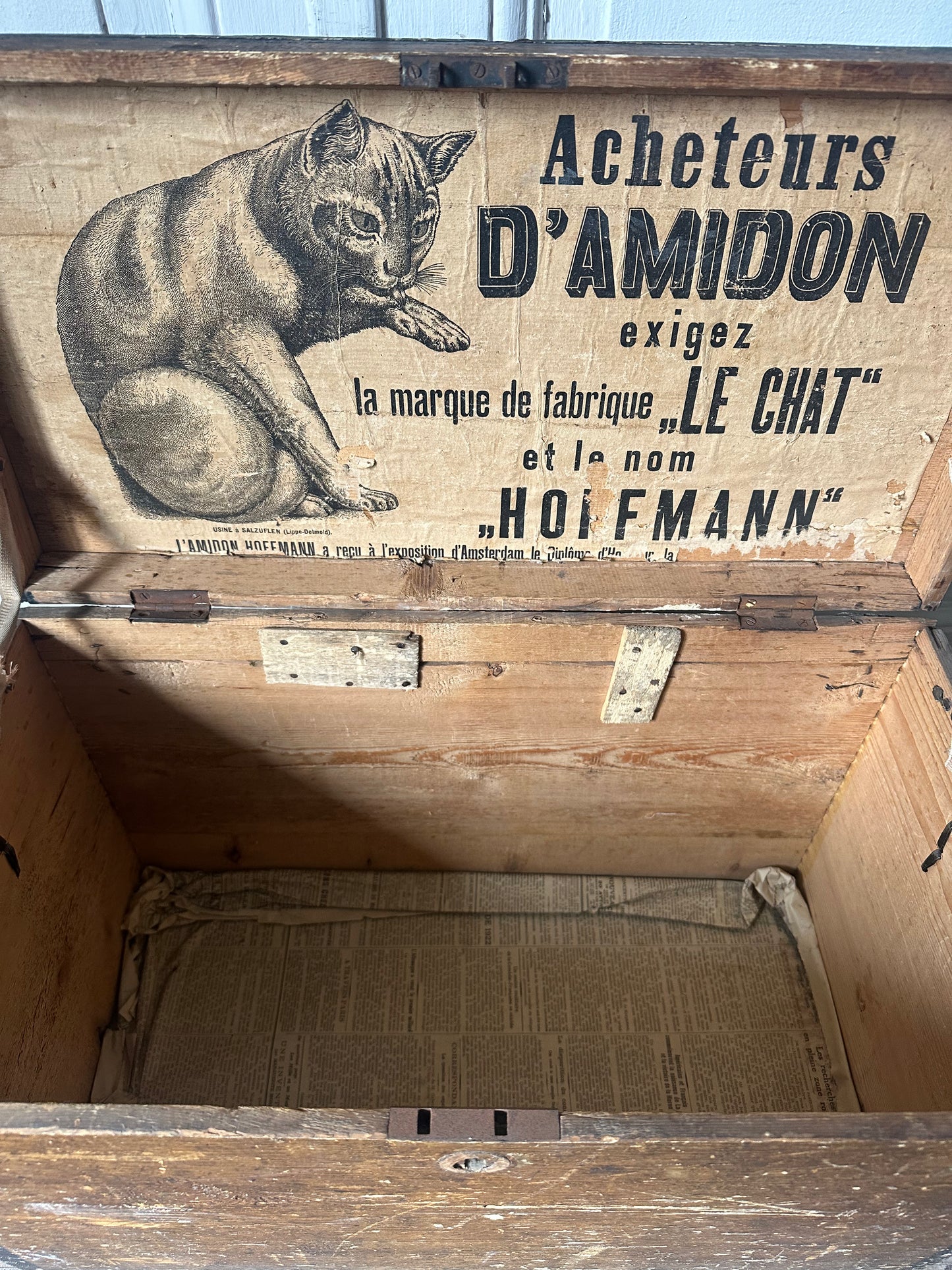 Le chat