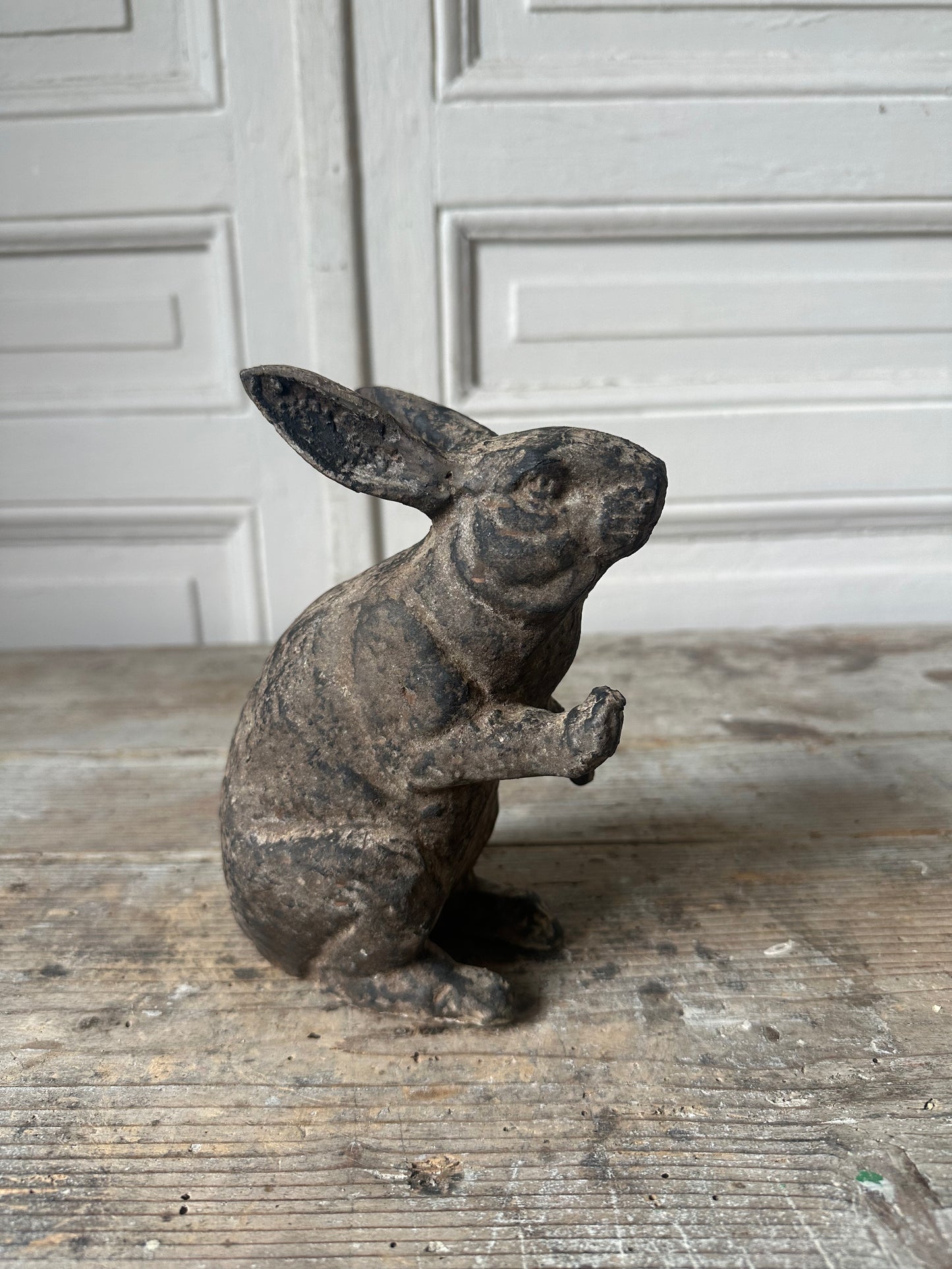 Le lapin