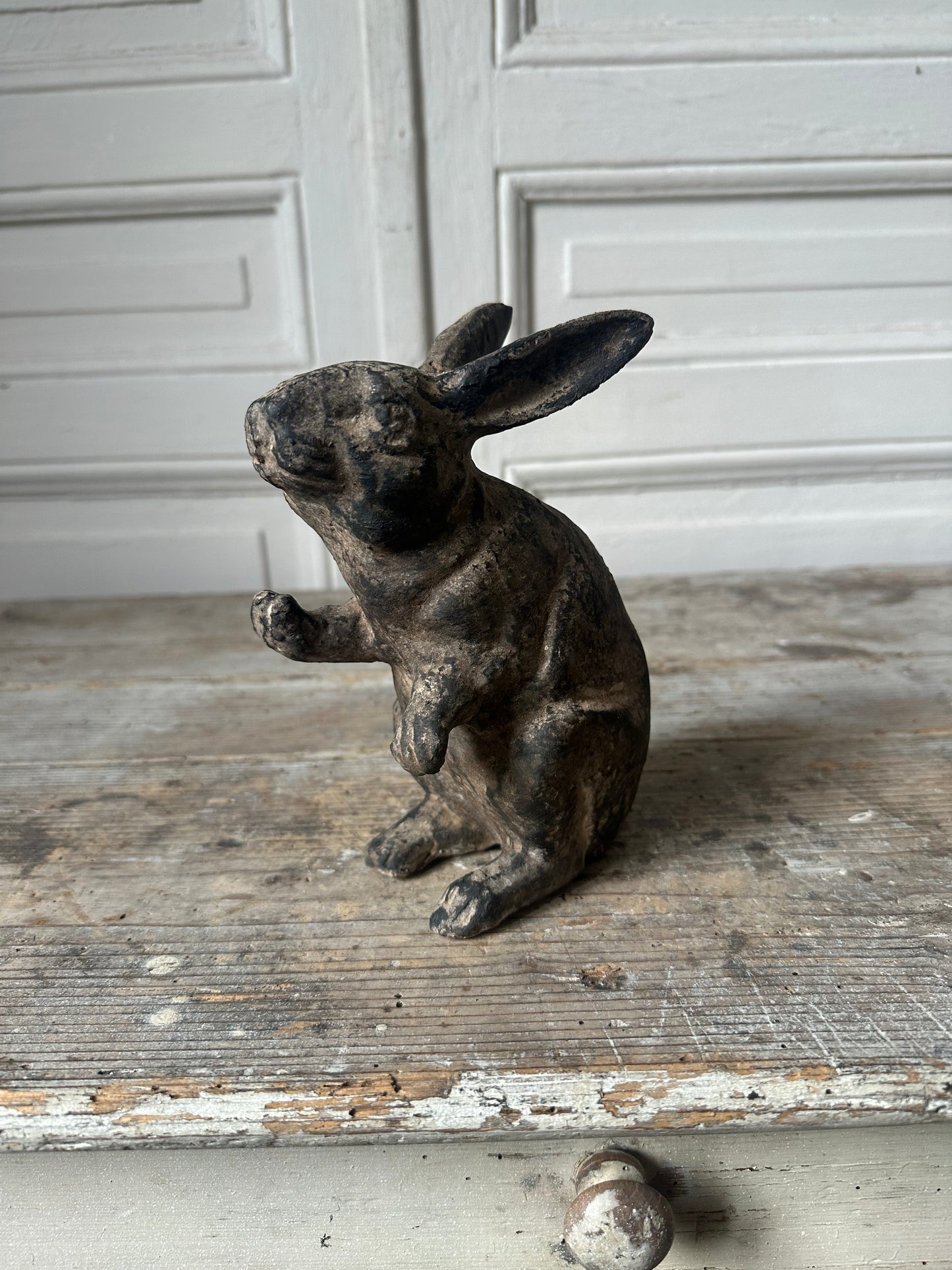 Le lapin