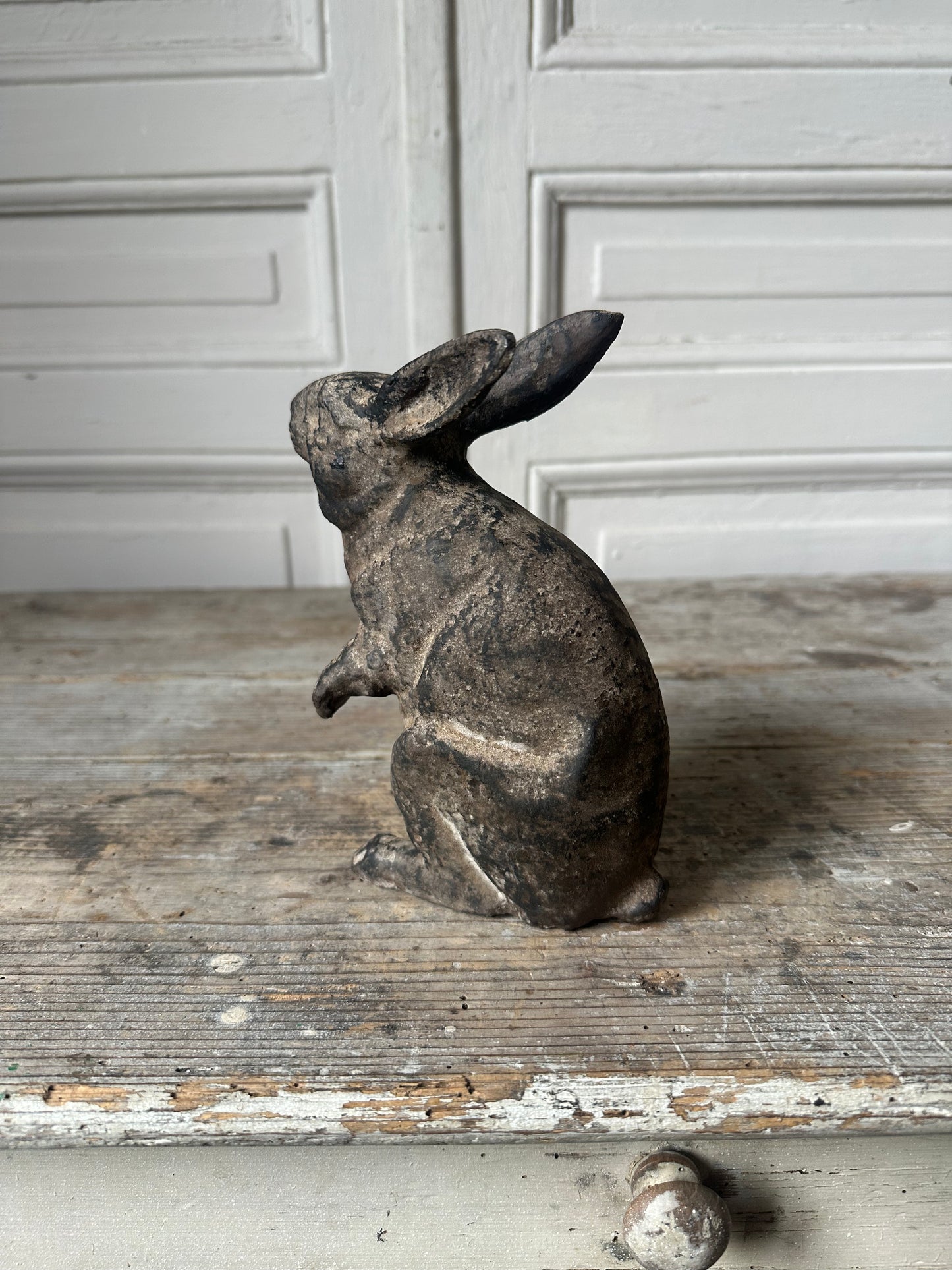 Le lapin