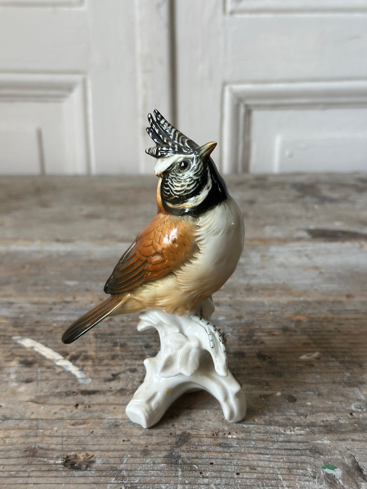 L’oiseau huppé